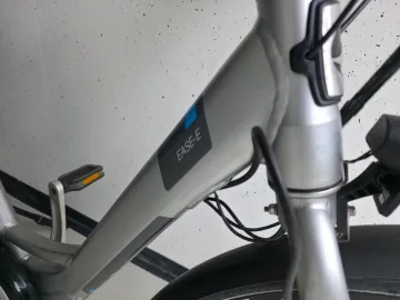 Giant Ease-e Dames — tweedehands e-bike