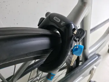 Giant Ease-e Dames — tweedehands e-bike
