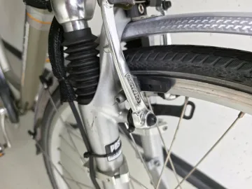 Bikkel Ebike Dames — tweedehands e-bike