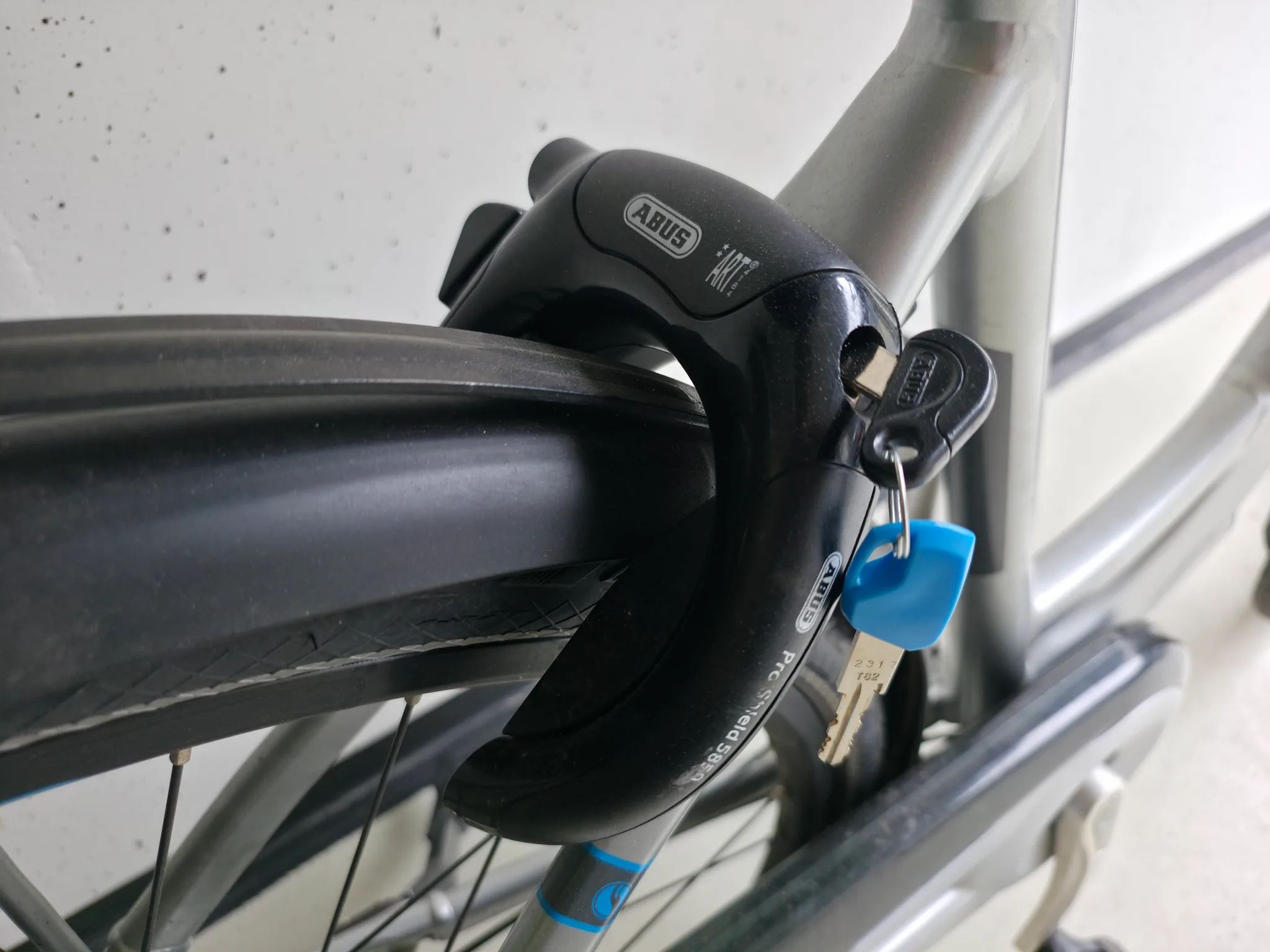 Giant Ease-e Dames — tweedehands e-bike
